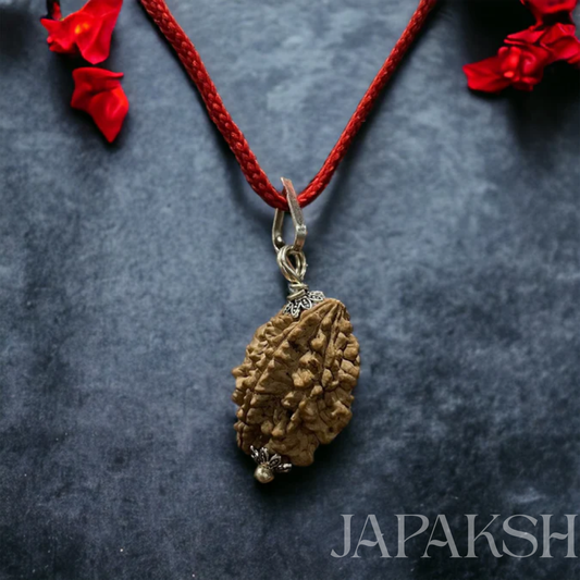 Japaksh 2 Mukhi Rudraksh with Lab Certificate